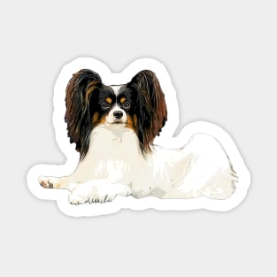 Papillon - Look at those butterfly ears! Sticker